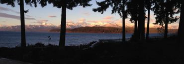 trees and bushes with water and clouds with sky
