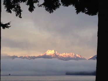 tree with clouds and mountains with sea