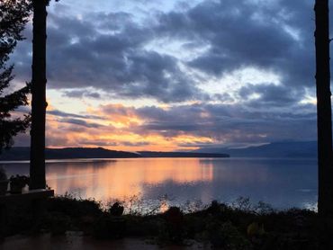 bushes and trees on the lake and a cloudy sky 2