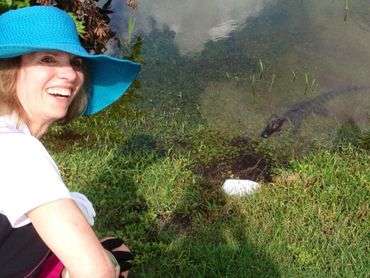woman crouching on grass with baby alligator in lake