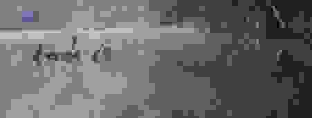 image458