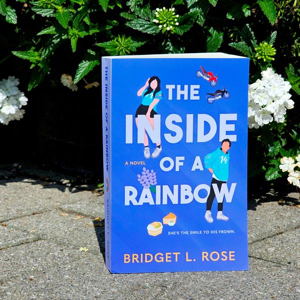 Cartoon Cover of Inside of a Rainbow Novel by Bridget L. Rose
