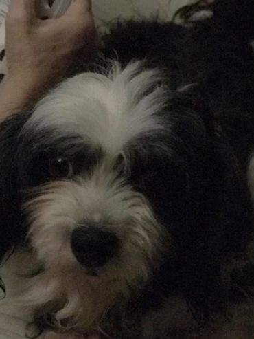 Antoinette helping mom read.