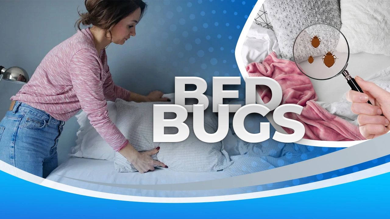 Don't bring Bed Bugs with you when traveling