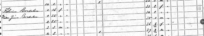 Louis Felicien Bordelon and his mother owned a few slaves, as seen on the 1860 Slave Schedule above.