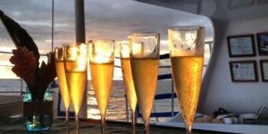Champagne Cruise