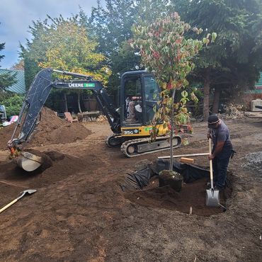 Worker planting a tree using a shovel and excavator.
