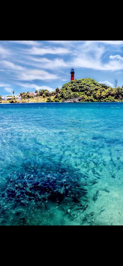 Just remember Native Suns Pressure Cleaning where we make your home look like paradise!