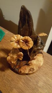 This is the first of many flower displays . My first home was nestled on a barren river bed of rock