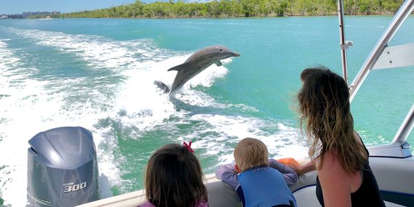 dolphin jumping in wake family watching marco island florida boat tour