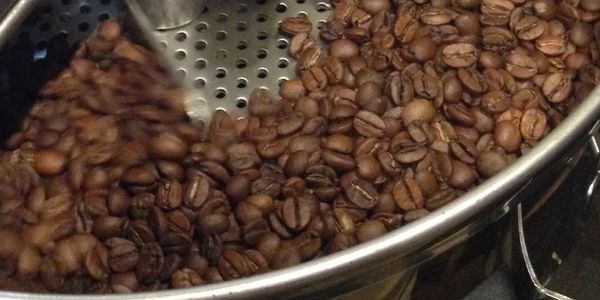 Freshly hand roasted coffee beans. Small Batch Roasting. Roasted coffee cooling in the cooling drum