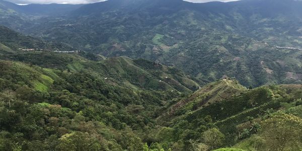 scenery looking across  a green mountainous landscape in Peru