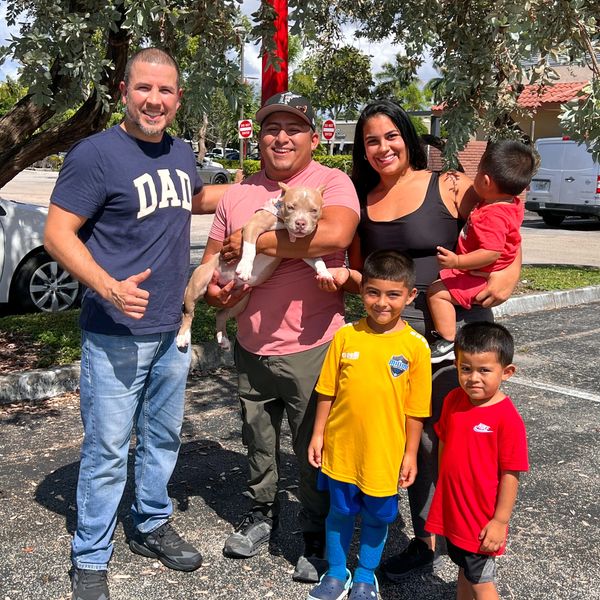 A happy family posing outdoors with a dog on a sunny day.