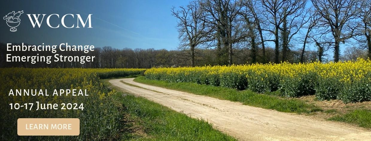 Scenic country road with yellow flowers and WCCM annual appeal details.