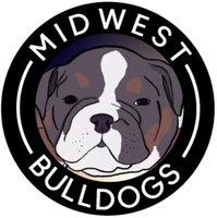 Midwest Bulldogs