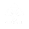 Pluralli Inc