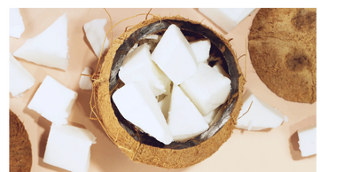 coconut wax inside of a coconut