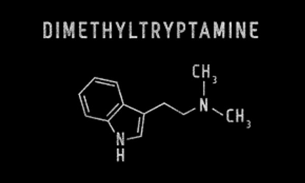 Chemical structure of dimethyltryptamine on black background.
