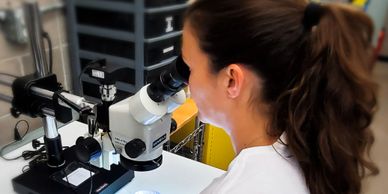 Microscopic inspection
