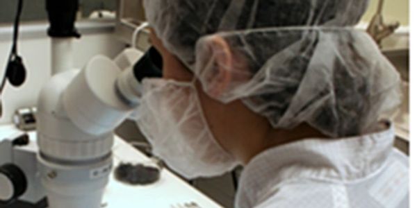 cleanliness verification