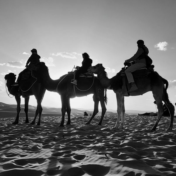 Silhouettes of three people riding camels across a desert at sunset.