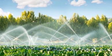 Sistemas de irrigación 