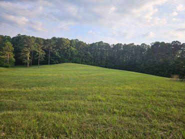 a beautiful view of green land and trees