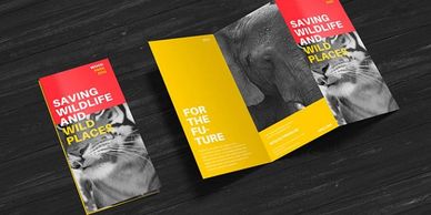 brochure printing