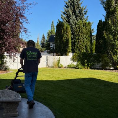 Person mowing a lush green lawn on a sunny day.