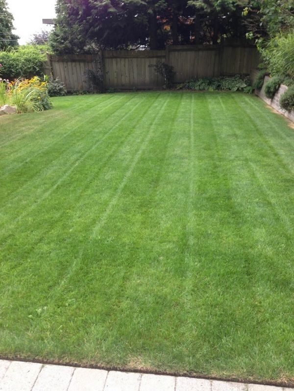 Red Deer Lawn Care