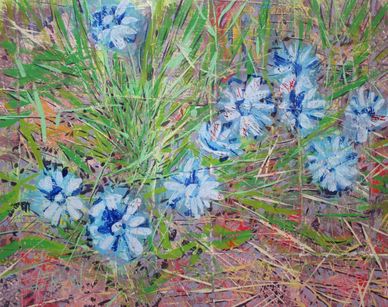 "Sudden Burst Of Blue Chicory" Painting On Cardboard LarryLerew.com chicory wildflowers blooming.