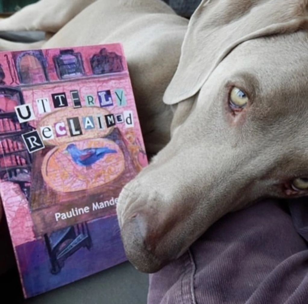 PAULINE MANDERS AUTHOR