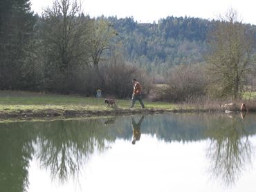 fishing the pond