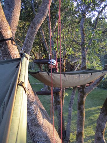 bubbles from treeboats