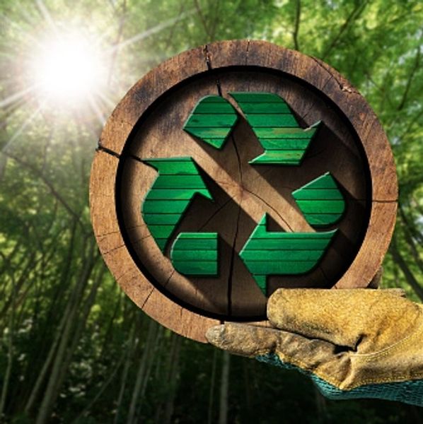 sustainable resourced wood production, certified and treated imported firewood