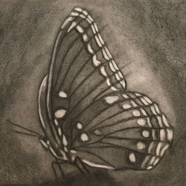 Charcoal drawing of a butterfly with detailed wings on textured paper.
