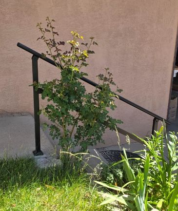 Black steel handrail installed on exterior concrete steps at a Northeast Albuquerque residence.