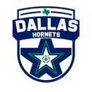 Dallas Hornets