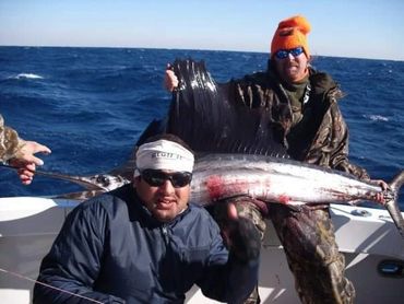Nice Sailfish caught with Byrd Dog Charters