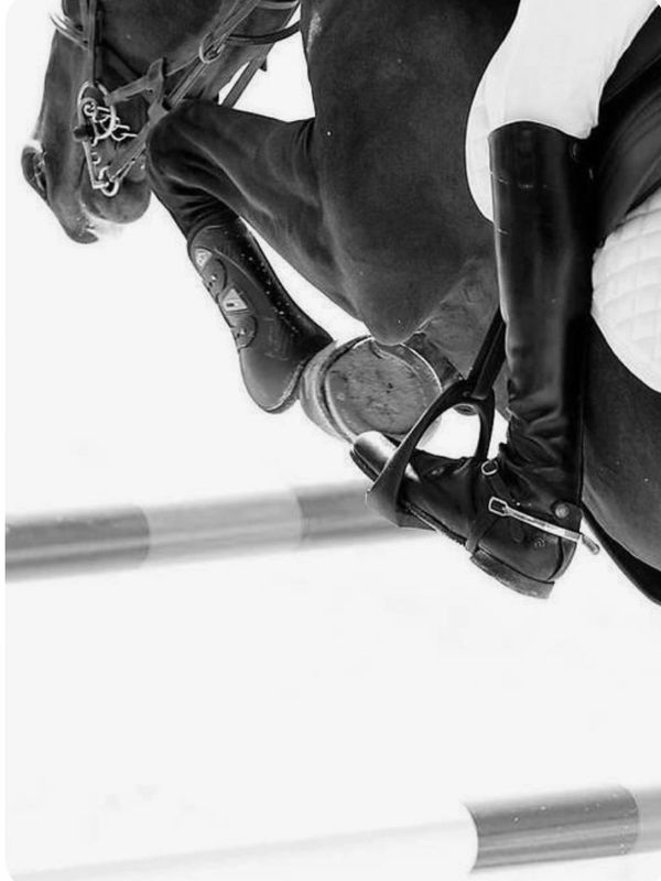 Close-up of an equestrian jump showing horse legs and rider boots.