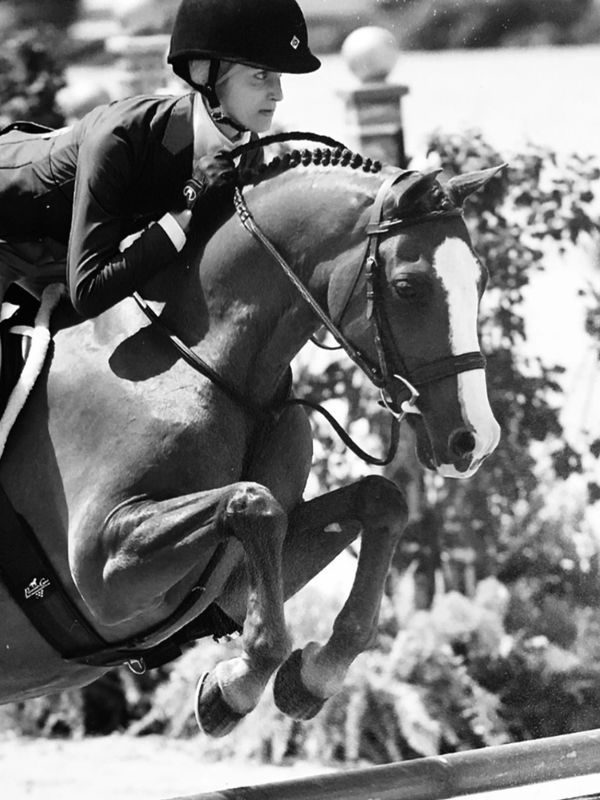 Equestrian jumping over a hurdle.