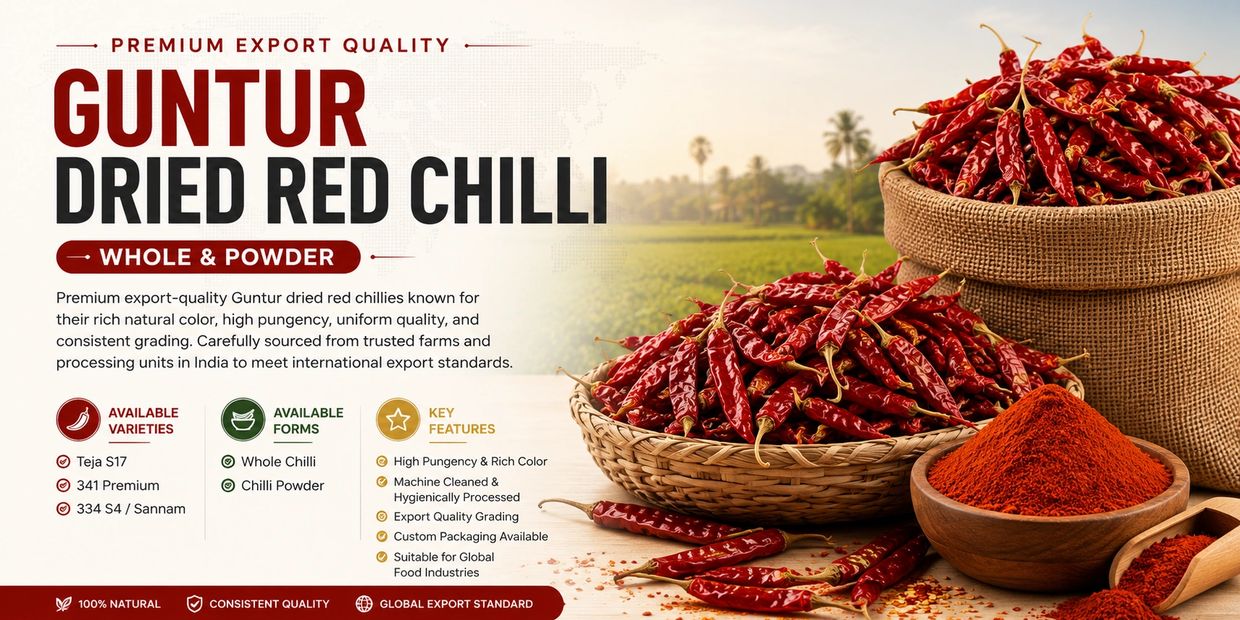 Premium export-quality Guntur dried red chillies carefully sourced and processed for global markets,