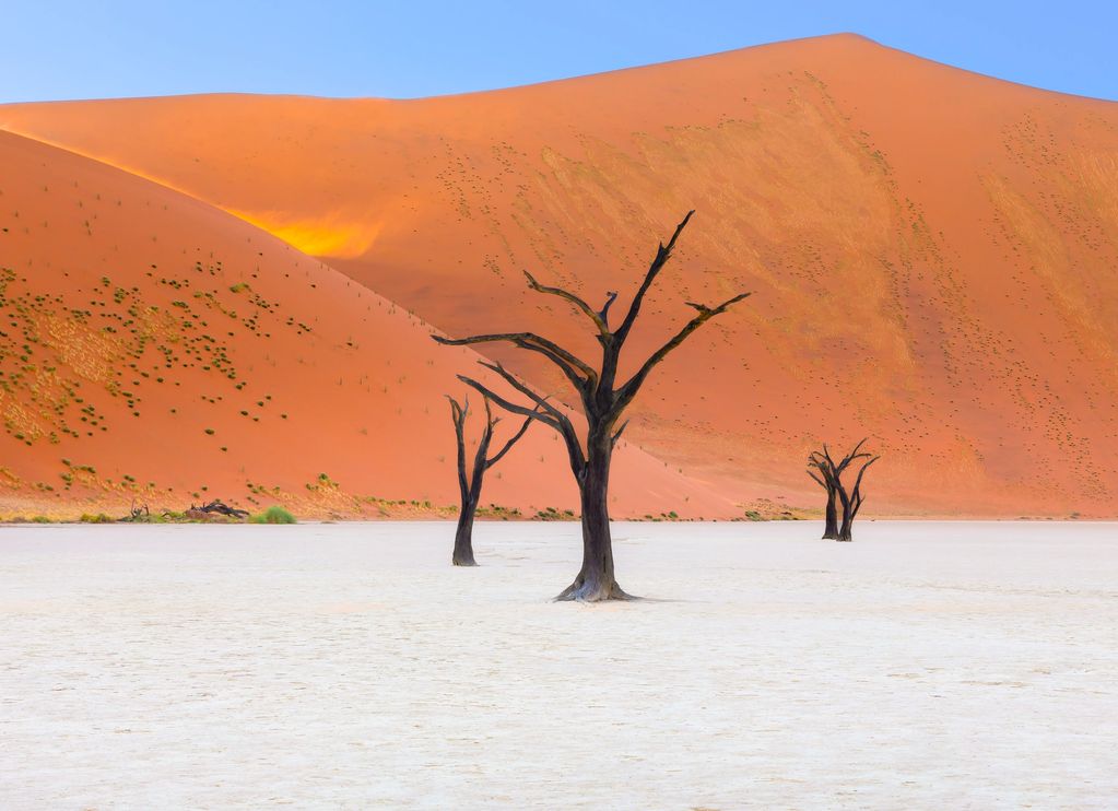 fiery hot wind gusting in dead vlei desert, ghost trees