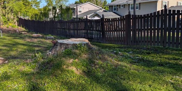 large stump on a homeowner's landscape