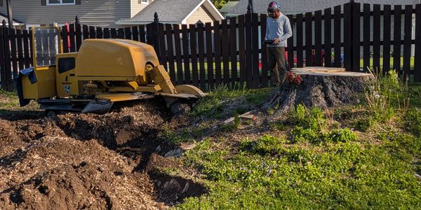 Large stump and roots being removed by StumpUgly