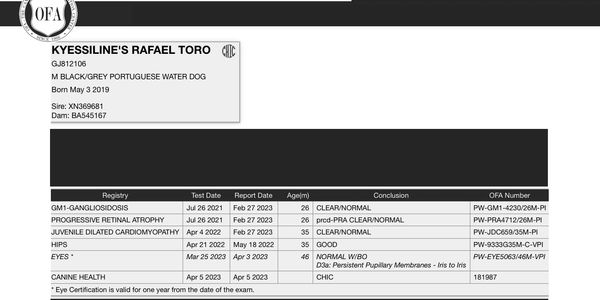 Rafael's OFA results