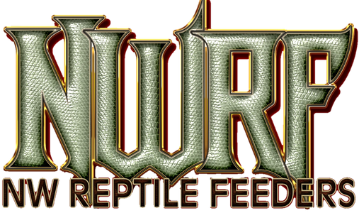 Nwrf basic reptile print logo