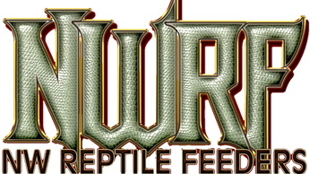 North west Reptile feeders bad is letter logo letters NWRF  with dragon skin texture. 