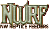 Basic nwrf logo with green reptile scale letters above and black below