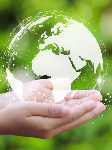 hands holding the globe